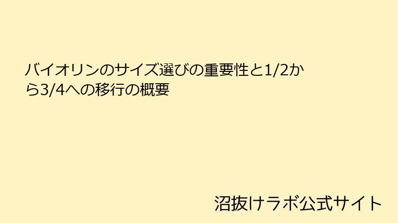 バイオリンのサイズ選びの重要性と1/2から3/4への移行の概要