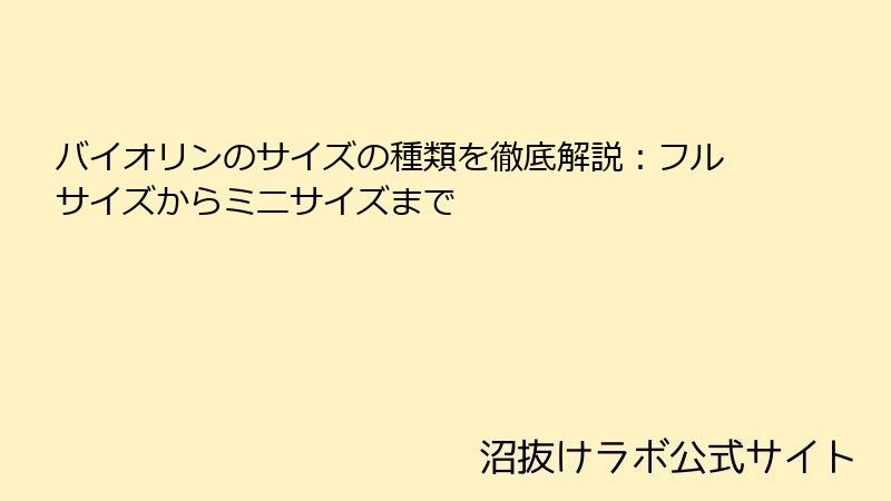 バイオリンのサイズの種類を徹底解説：フルサイズからミニサイズまで