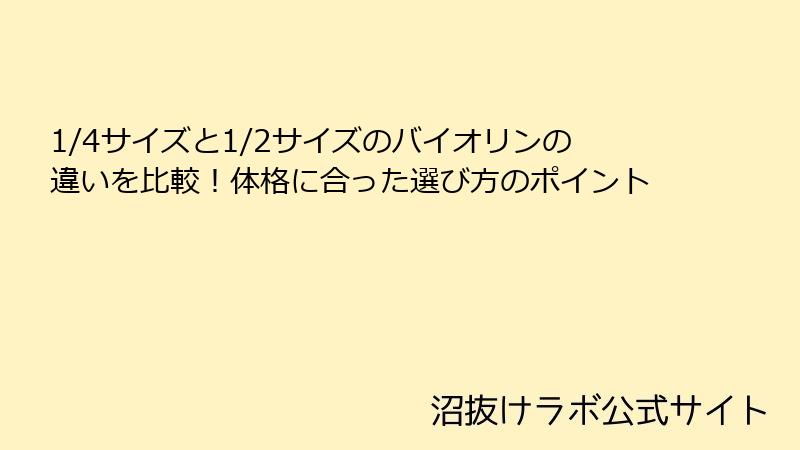 1/4サイズと1/2サイズのバイオリンの違いを比較！体格に合った選び方のポイント