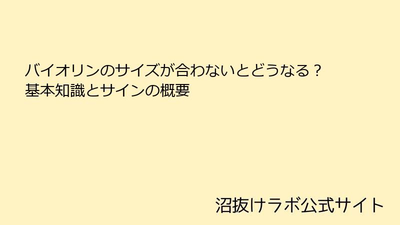 バイオリンのサイズが合わないとどうなる？基本知識とサインの概要