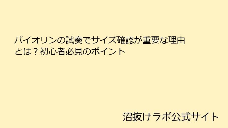 バイオリンの試奏でサイズ確認が重要な理由とは？初心者必見のポイント