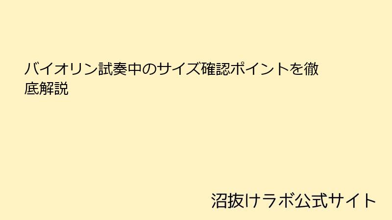 バイオリン試奏中のサイズ確認ポイントを徹底解説