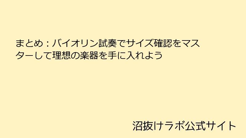 まとめ：バイオリン試奏でサイズ確認をマスターして理想の楽器を手に入れよう