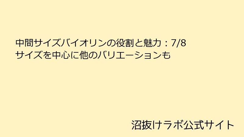 中間サイズバイオリンの役割と魅力：7/8サイズを中心に他のバリエーションも