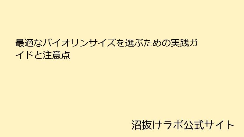 最適なバイオリンサイズを選ぶための実践ガイドと注意点