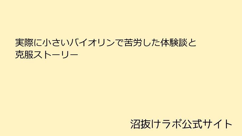 実際に小さいバイオリンで苦労した体験談と克服ストーリー