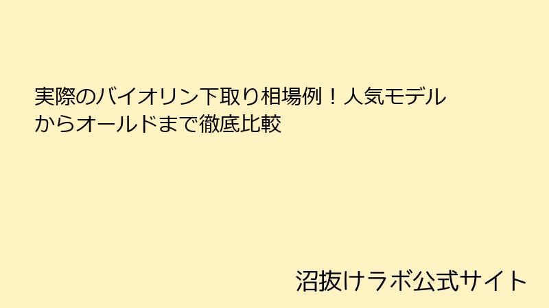実際のバイオリン下取り相場例！人気モデルからオールドまで徹底比較