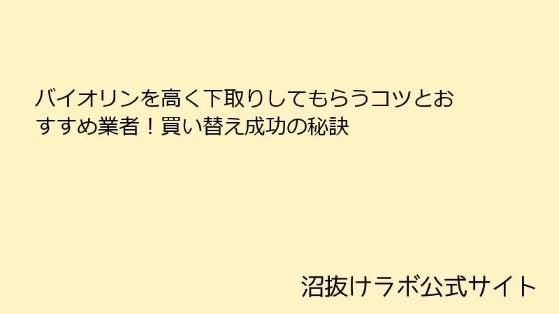 バイオリンを高く下取りしてもらうコツとおすすめ業者！買い替え成功の秘訣