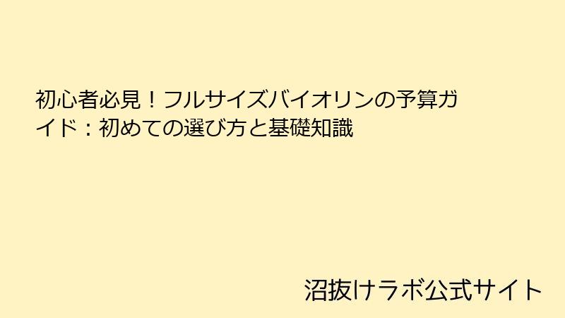 初心者必見！フルサイズバイオリンの予算ガイド：初めての選び方と基礎知識