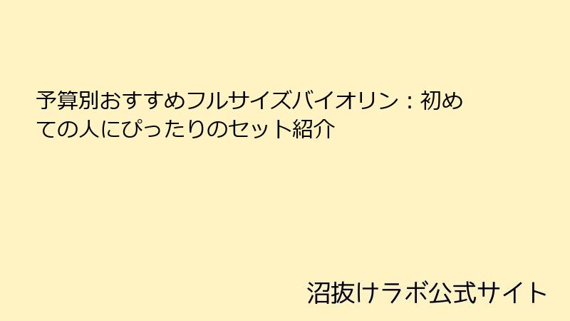 予算別おすすめフルサイズバイオリン：初めての人にぴったりのセット紹介