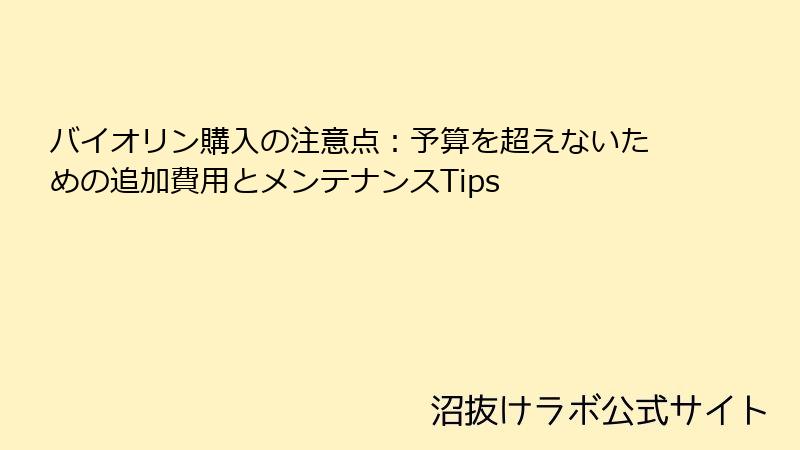 バイオリン購入の注意点：予算を超えないための追加費用とメンテナンスTips