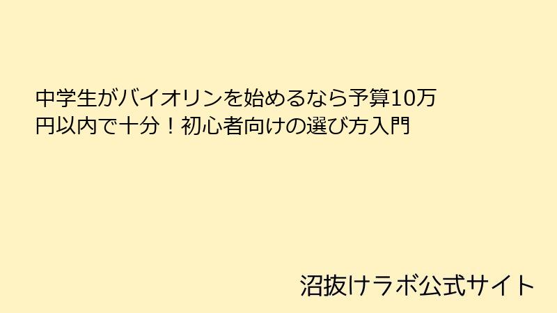 中学生がバイオリンを始めるなら予算10万円以内で十分！初心者向けの選び方入門