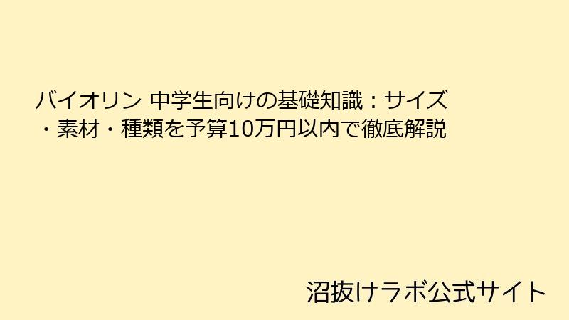 バイオリン 中学生向けの基礎知識：サイズ・素材・種類を予算10万円以内で徹底解説