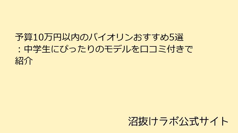 予算10万円以内のバイオリンおすすめ5選：中学生にぴったりのモデルを口コミ付きで紹介