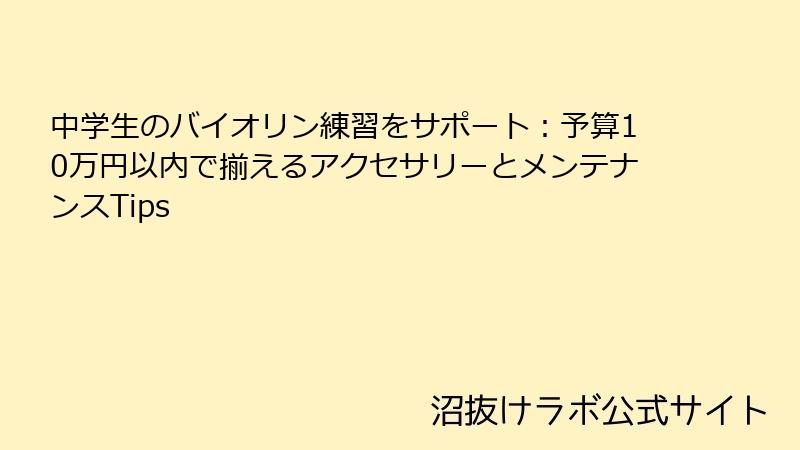 中学生のバイオリン練習をサポート：予算10万円以内で揃えるアクセサリーとメンテナンスTips