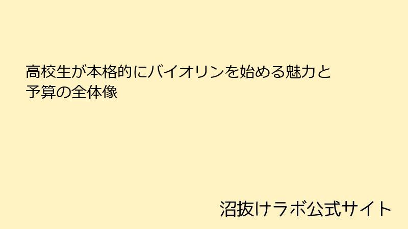 高校生が本格的にバイオリンを始める魅力と予算の全体像