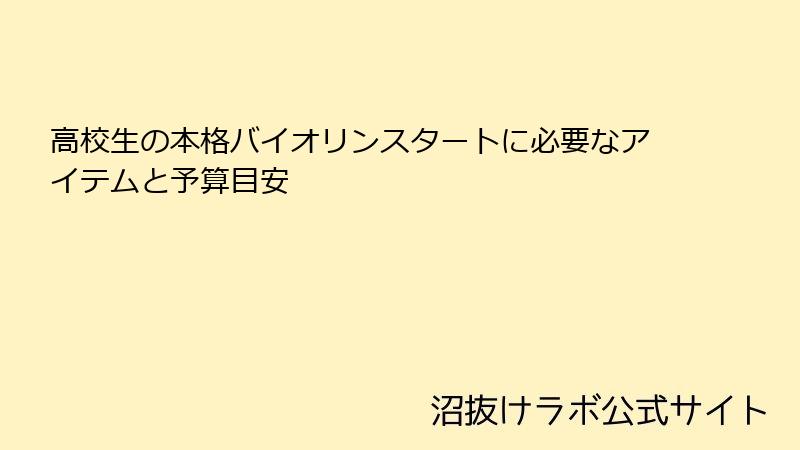 高校生の本格バイオリンスタートに必要なアイテムと予算目安