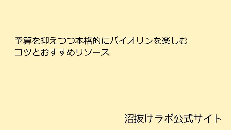 予算を抑えつつ本格的にバイオリンを楽しむコツとおすすめリソース
