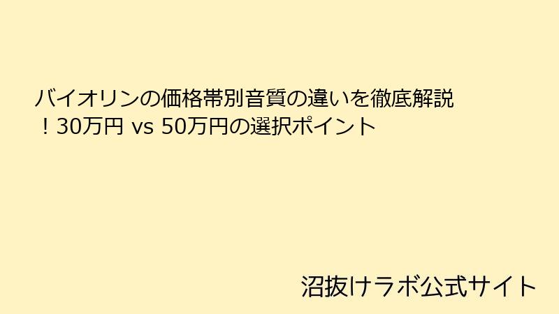 バイオリンの価格帯別音質の違いを徹底解説！30万円 vs 50万円の選択ポイント