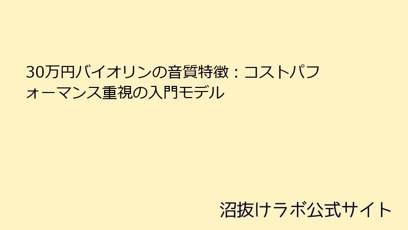 30万円バイオリンの音質特徴：コストパフォーマンス重視の入門モデル