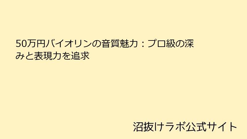 50万円バイオリンの音質魅力：プロ級の深みと表現力を追求
