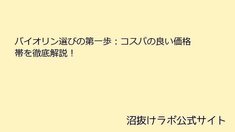 バイオリン選びの第一歩：コスパの良い価格帯を徹底解説！