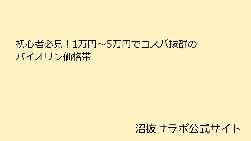 初心者必見！1万円〜5万円でコスパ抜群のバイオリン価格帯