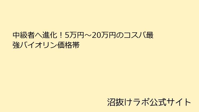 中級者へ進化！5万円〜20万円のコスパ最強バイオリン価格帯
