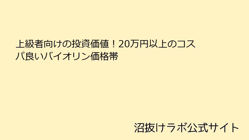 上級者向けの投資価値！20万円以上のコスパ良いバイオリン価格帯