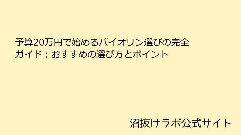 予算20万円で始めるバイオリン選びの完全ガイド：おすすめの選び方とポイント