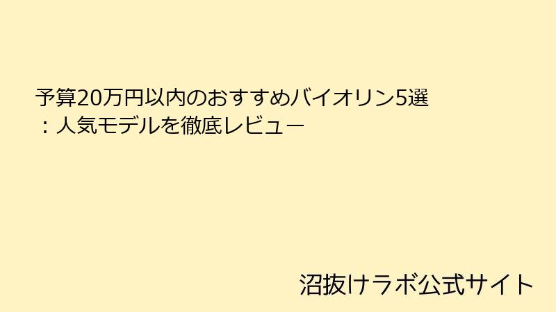 予算20万円以内のおすすめバイオリン5選：人気モデルを徹底レビュー