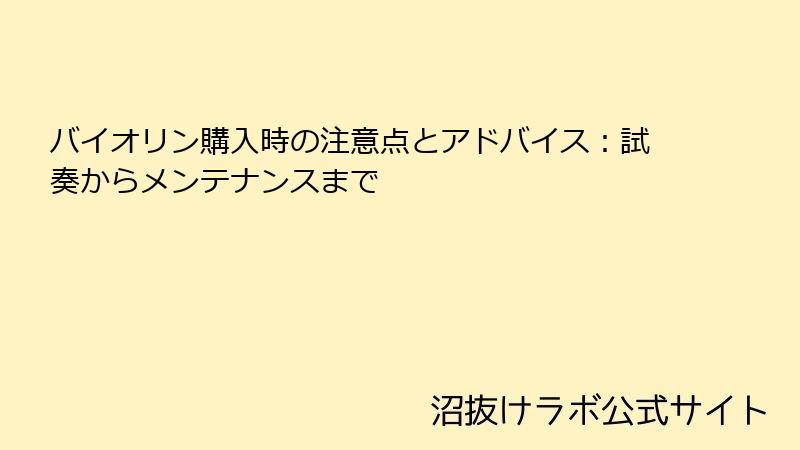 バイオリン購入時の注意点とアドバイス：試奏からメンテナンスまで