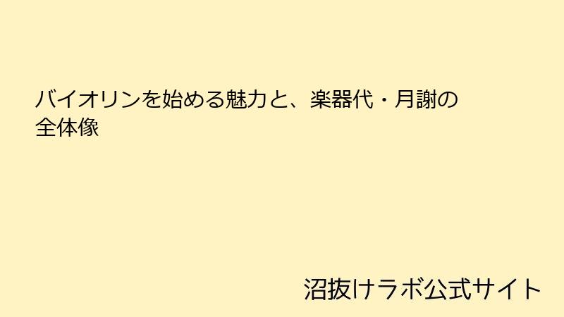 バイオリンを始める魅力と、楽器代・月謝の全体像