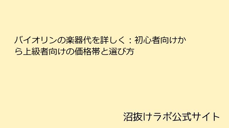 バイオリンの楽器代を詳しく：初心者向けから上級者向けの価格帯と選び方