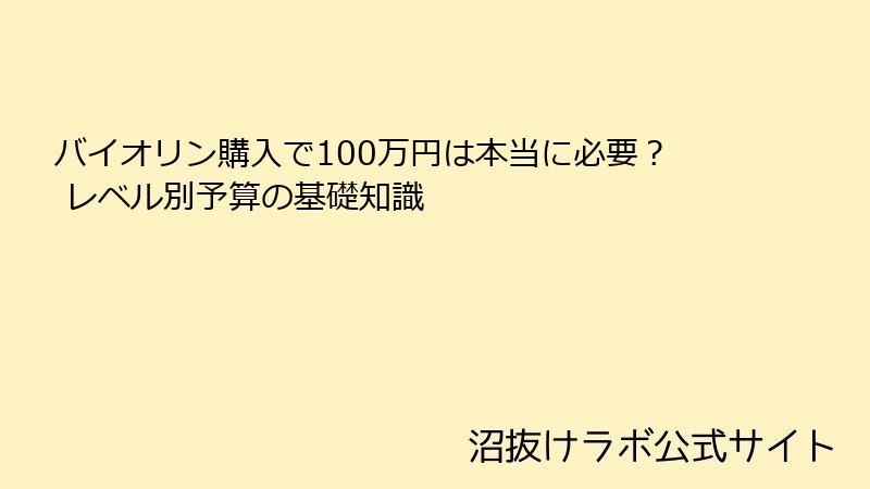 バイオリン購入で100万円は本当に必要？ レベル別予算の基礎知識