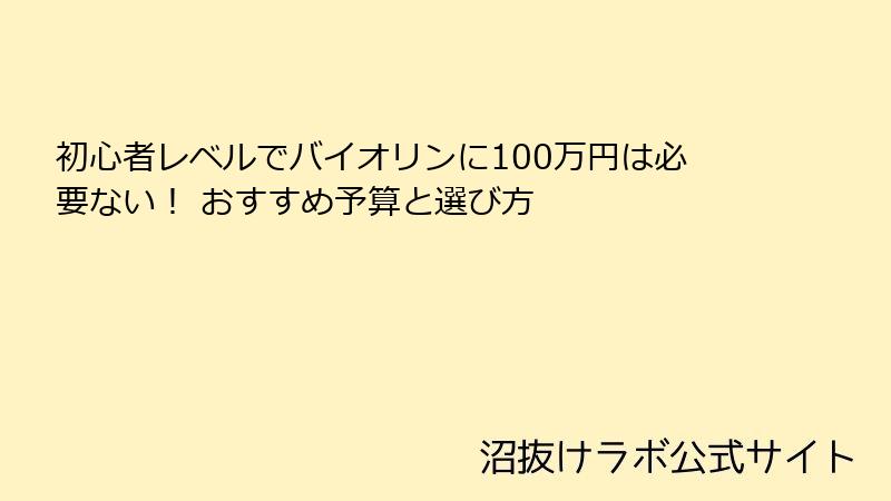 初心者レベルでバイオリンに100万円は必要ない！ おすすめ予算と選び方