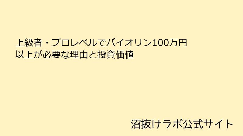 上級者・プロレベルでバイオリン100万円以上が必要な理由と投資価値