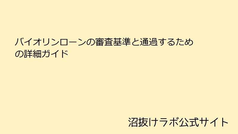 バイオリンローンの審査基準と通過するための詳細ガイド