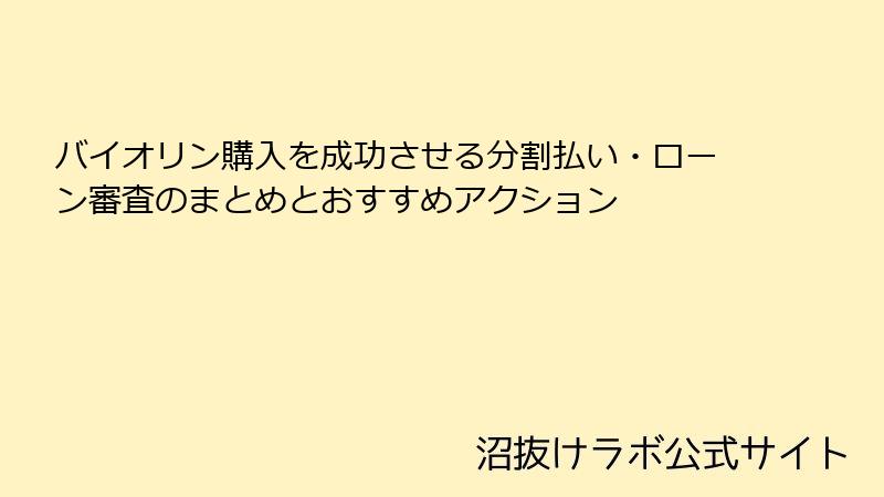 バイオリン購入を成功させる分割払い・ローン審査のまとめとおすすめアクション