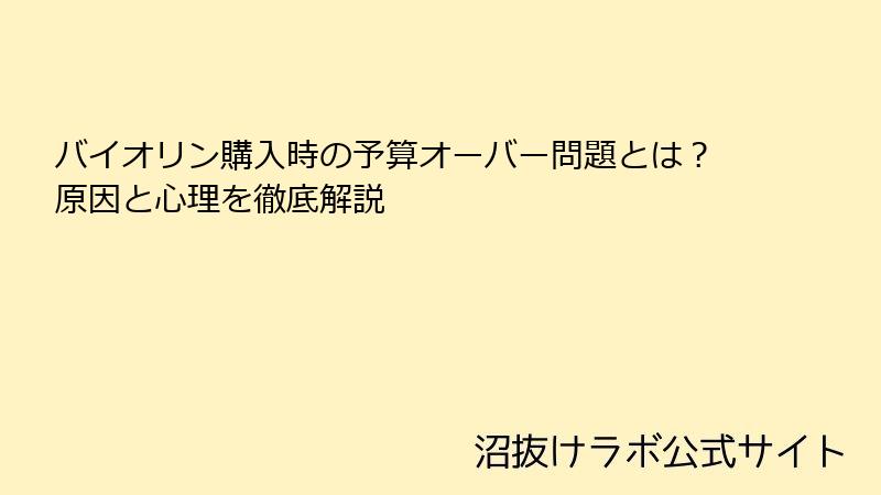 バイオリン購入時の予算オーバー問題とは？原因と心理を徹底解説