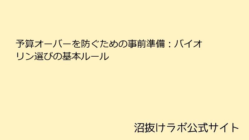予算オーバーを防ぐための事前準備：バイオリン選びの基本ルール