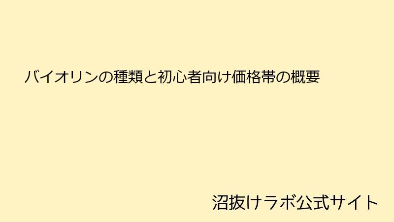 バイオリンの種類と初心者向け価格帯の概要
