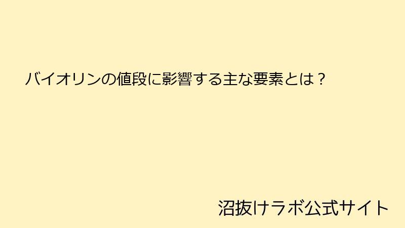 バイオリンの値段に影響する主な要素とは？