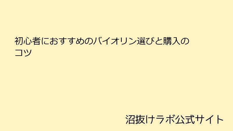 初心者におすすめのバイオリン選びと購入のコツ