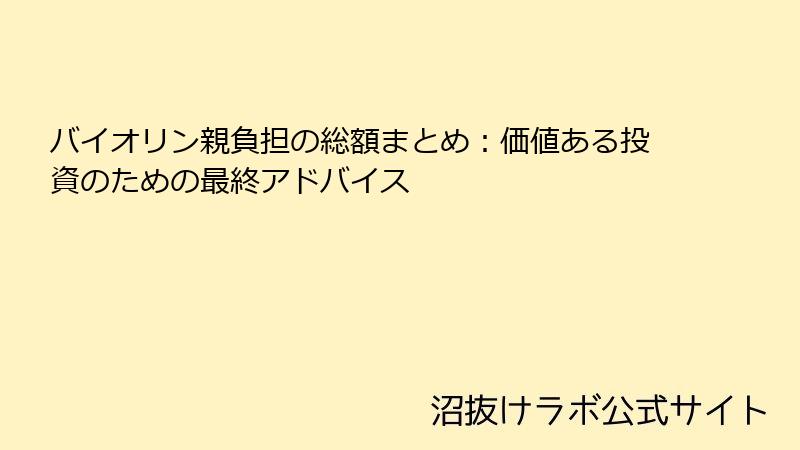 バイオリン親負担の総額まとめ：価値ある投資のための最終アドバイス