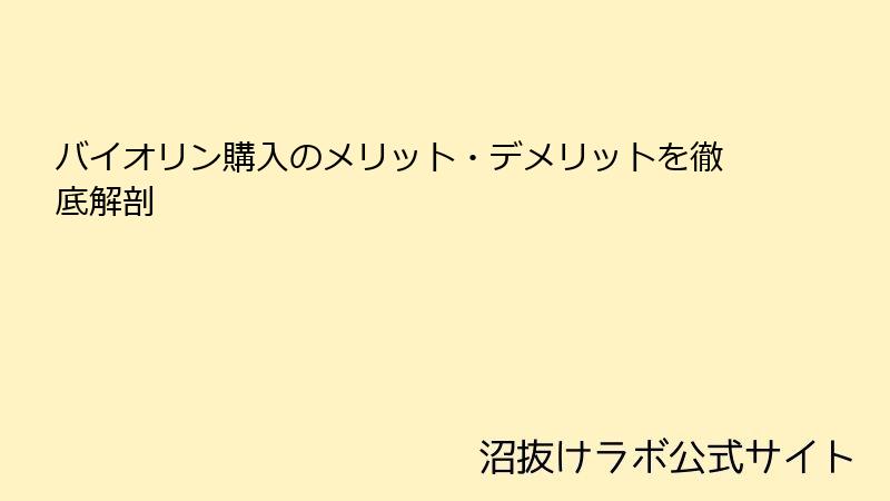 バイオリン購入のメリット・デメリットを徹底解剖