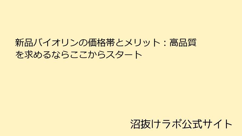 新品バイオリンの価格帯とメリット：高品質を求めるならここからスタート