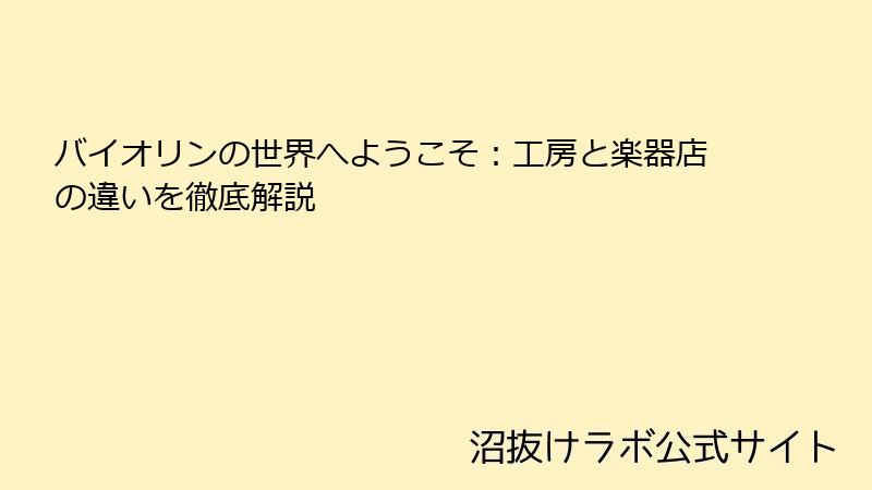 バイオリンの世界へようこそ:工房と楽器店の違いを徹底解説