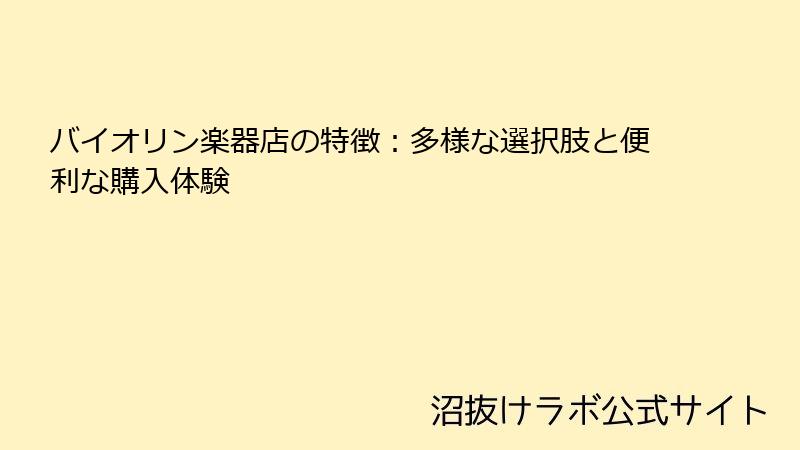 バイオリン楽器店の特徴:多様な選択肢と便利な購入体験
