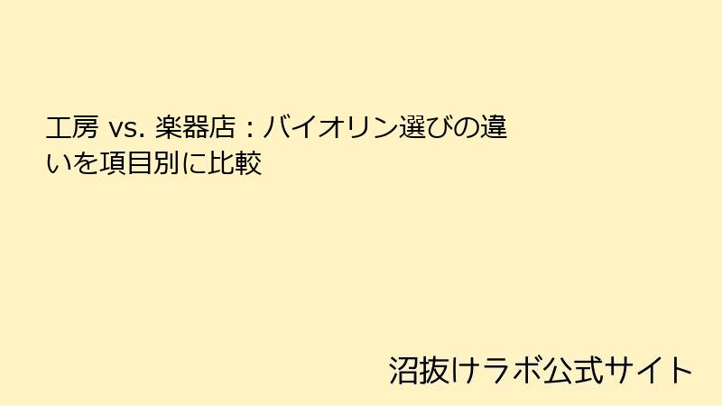 工房 vs. 楽器店:バイオリン選びの違いを項目別に比較